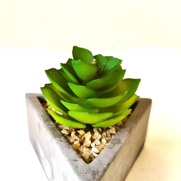 Tranquil_Green_Bloom_in_Geometric_Elegance