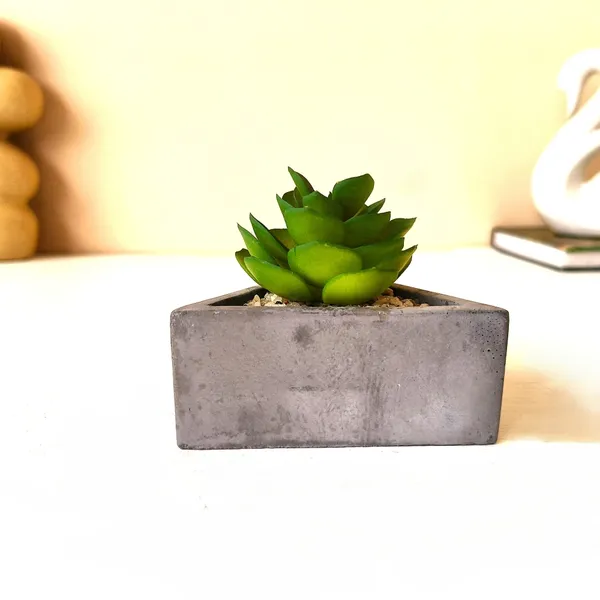 Tranquil_Green_Bloom_in_Geometric_Elegance
