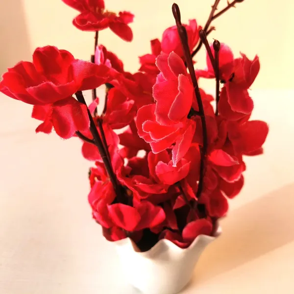 Vibrant_Scarlet_Blossom_Arrangement_in_White_Plastic_Vase