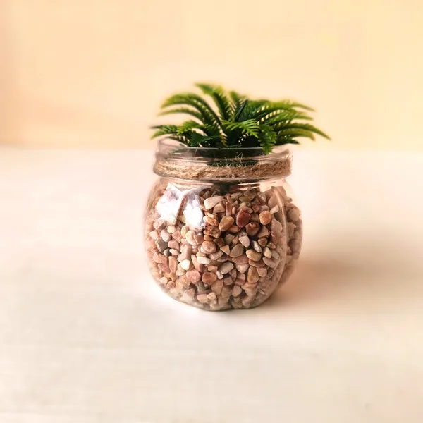 Mini_Artificial_Green_Succulent_in_Transparent_Plastic_Pot