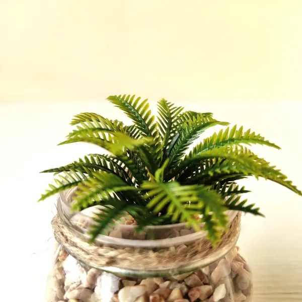Mini_Artificial_Green_Succulent_in_Transparent_Plastic_Pot