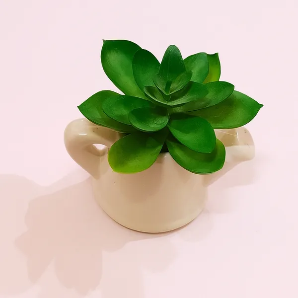 Mini_Succulent_in_Ceramic_Teapot_Pot