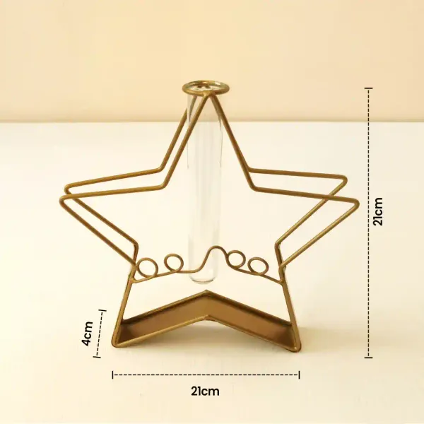 Starshaped_Golden_Metal_Flower_Vase_With_Transparent_Glass_Tube_For_Home_And_Office_Decor