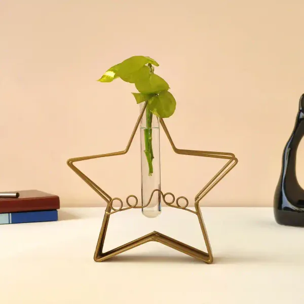 Starshaped_Golden_Metal_Flower_Vase_With_Transparent_Glass_Tube_For_Home_And_Office_Decor