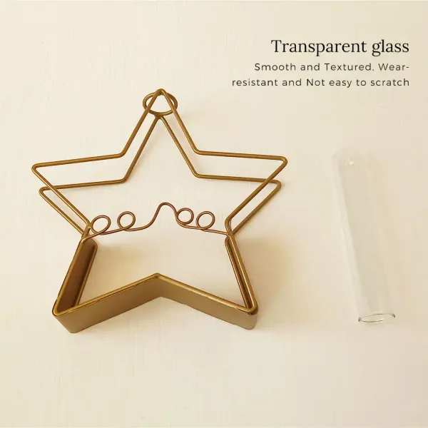 Starshaped_Golden_Metal_Flower_Vase_With_Transparent_Glass_Tube_For_Home_And_Office_Decor