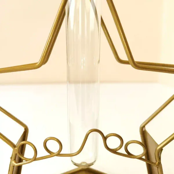 Starshaped_Golden_Metal_Flower_Vase_With_Transparent_Glass_Tube_For_Home_And_Office_Decor