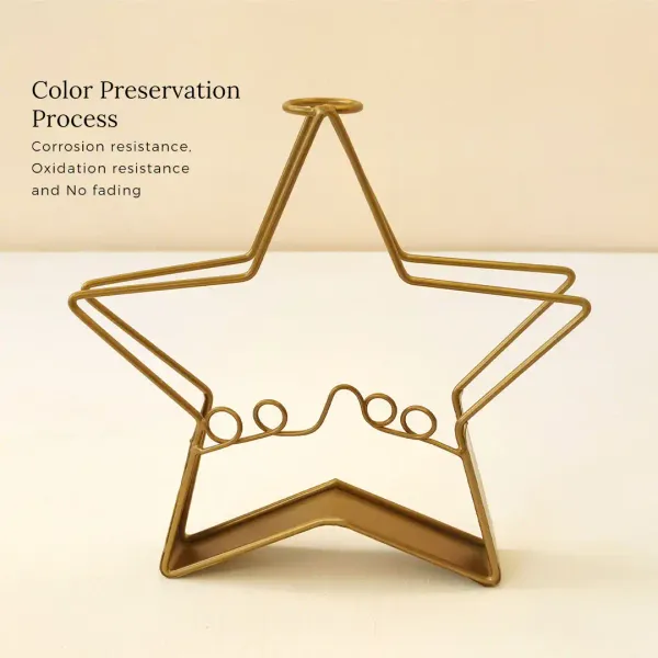 Starshaped_Golden_Metal_Flower_Vase_With_Transparent_Glass_Tube_For_Home_And_Office_Decor