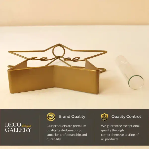 Starshaped_Golden_Metal_Flower_Vase_With_Transparent_Glass_Tube_For_Home_And_Office_Decor
