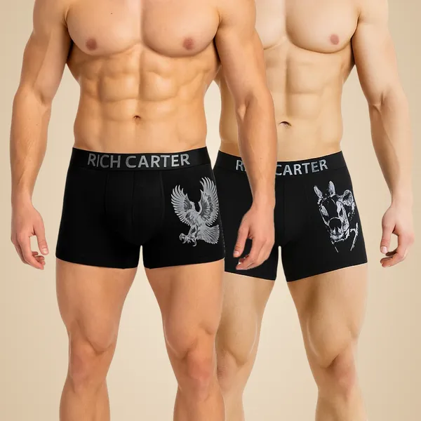 Black_Cotton_Blend_Breathable,_sweat_Free,_Odour_Free_Trunks_For_Men_(Pack_Of_2)