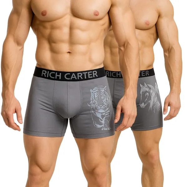 Grey_Cotton_Blend_Breathable,_sweat_Free,_Odour_Free_Trunks_For_Men_(Pack_Of_2)