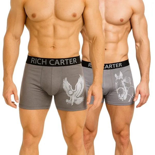 Grey_Cotton_Blend_Breathable,_sweat_Free,_Odour_Free_Trunks_For_Men_(Pack_Of_2)