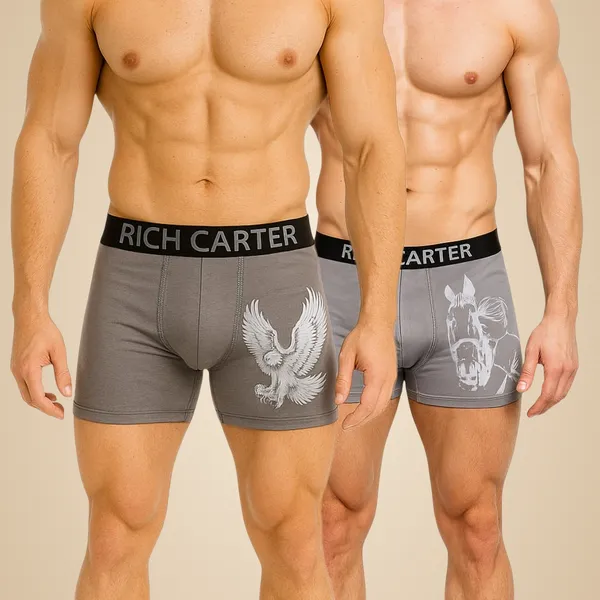 Grey_Cotton_Blend_Breathable,_sweat_Free,_Odour_Free_Trunks_For_Men_(Pack_Of_2)