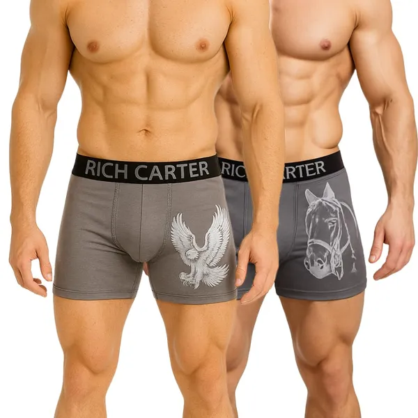 Grey_Cotton_Blend_Breathable,_sweat_Free,_Odour_Free_Trunks_For_Men_(Pack_Of_2)