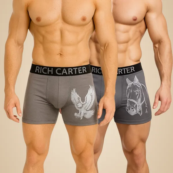 Grey_Cotton_Blend_Breathable,_sweat_Free,_Odour_Free_Trunks_For_Men_(Pack_Of_2)