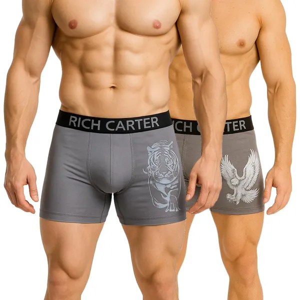 Grey_Cotton_Blend_Breathable,_sweat_Free,_Odour_Free_Trunks_For_Men_(Pack_Of_2)