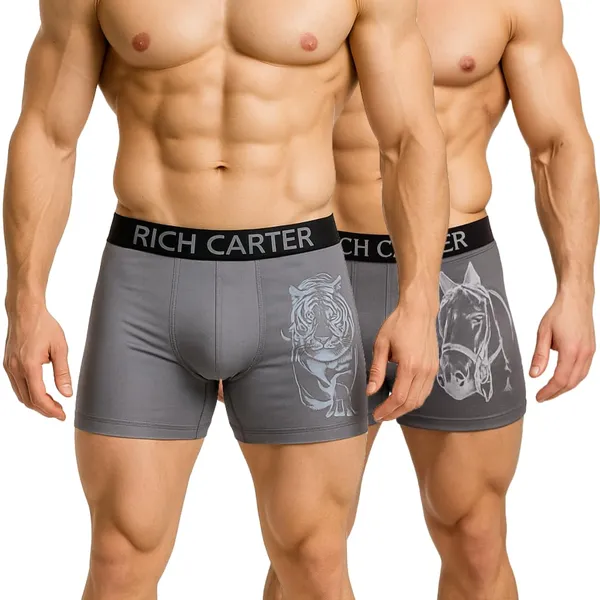 Grey_Cotton_Blend_Breathable,_sweat_Free,_Odour_Free_Trunks_For_Men_(Pack_Of_2)