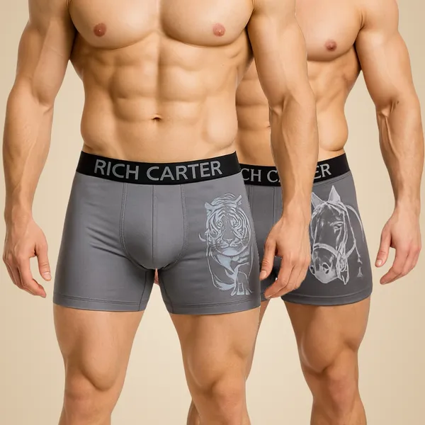 Grey_Cotton_Blend_Breathable,_sweat_Free,_Odour_Free_Trunks_For_Men_(Pack_Of_2)