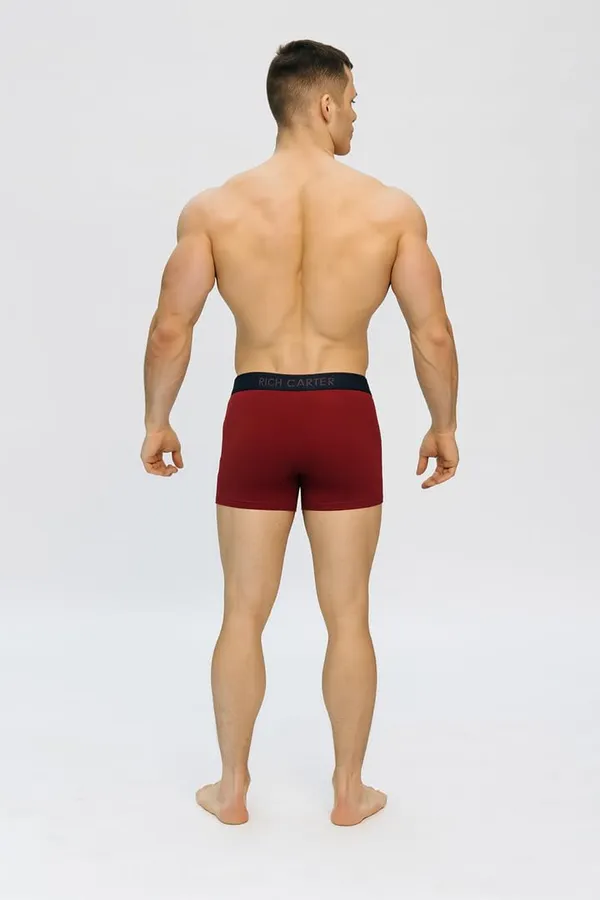 Multicolor_Cotton_lycra_Breathable,_sweat_Free,_Odour_Free_Trunks_For_Men_(Pack_Of_2)