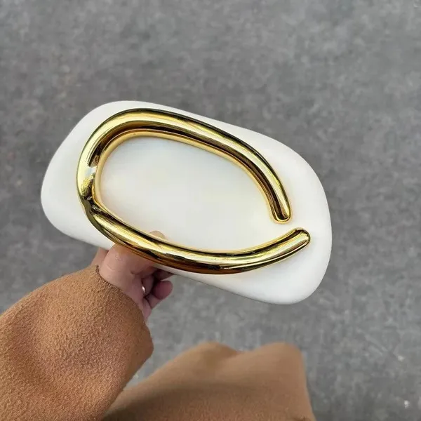 Celebrity_Style_Zara-Inspired_Glossy_Acrylic_/_Matte_Clutch_|_Golden_Curve_Design