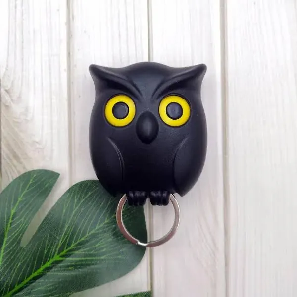 Quirky_Owl_Key_Holder_Peek-a-Boo_Wall_Hook_for_Keys