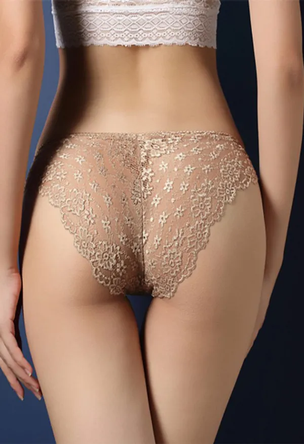 Sheer_Lace_Hipster_Briefs_