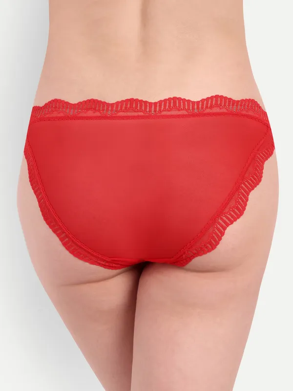 Adore_Your_Inner_Beaty_With_Sheer_Mesh_Lace_Panty.