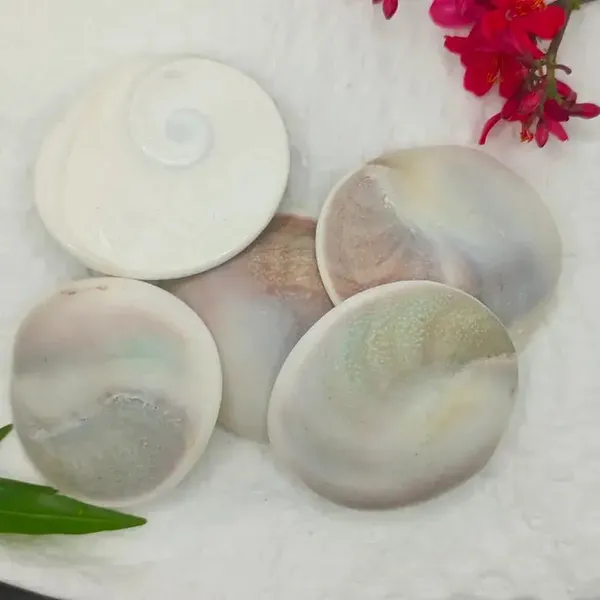 Gomti_Chakra