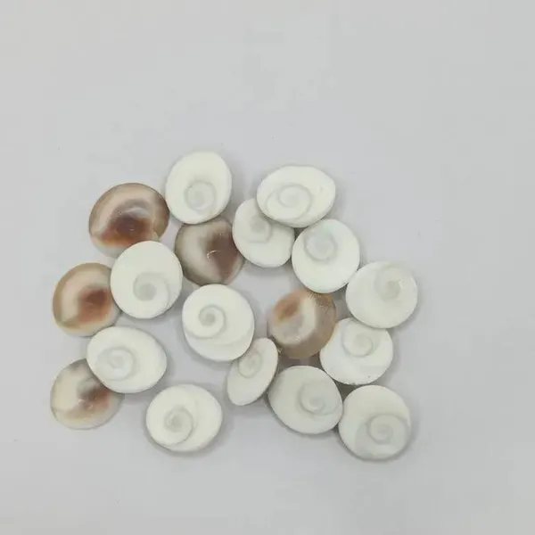 Gomti_Chakra