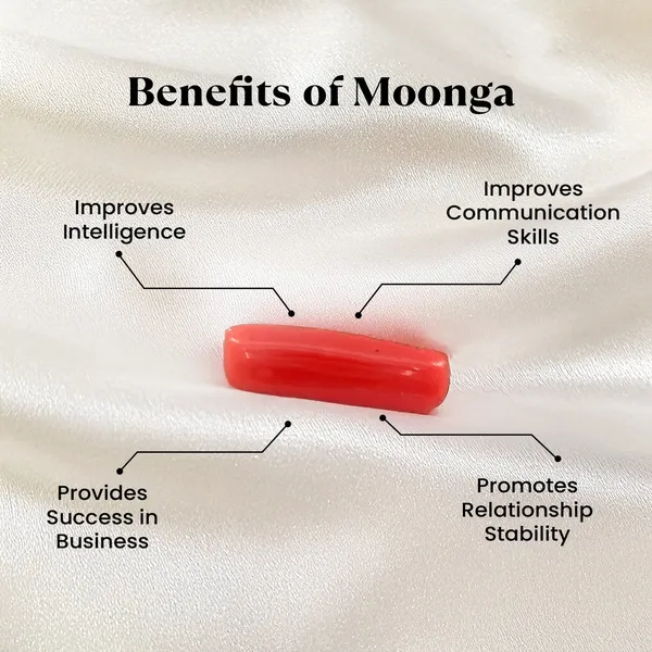 Moonga_-_5CARATS