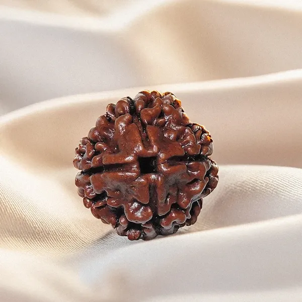 4_Mukhi_Rudraksha_(_Nepali_)