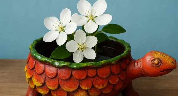Handcrafted_Terracotta_Turtle_Bowl_(9''x6'')_|_Urli_for_Floating_Flowers_&_Home_Décor