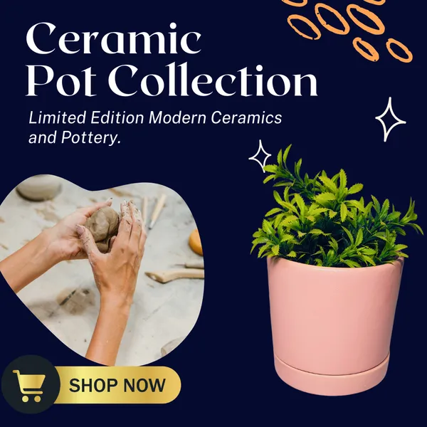 Pink_Beautiful_Ceramic_Tube_Shape_Planter_With_Plate_(Plant_Not_Included)