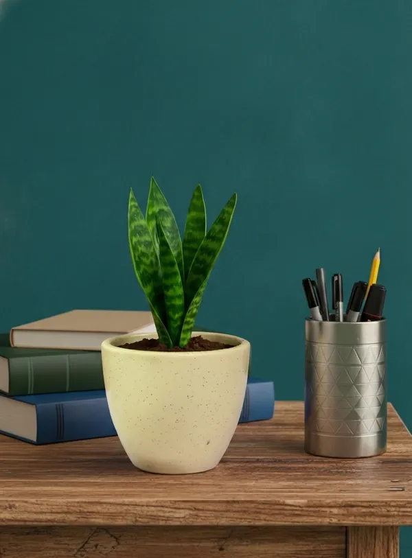 4.5_Inch_Ceramic_Planter_Pot_with_Drainage_Hole_(Fade-Resistant)_-_Modern_Indoor_Pot_for_Succulents,_Snake_Plants,_&_Herbs_-_Decorative_Small_Cactus_Pot_for_Desk,_Shelf_&_Home_Decor_(Speckled_Lemon)_-_Plant_Not_Included)
