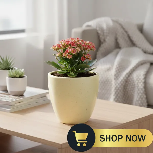 4.5_Inch_Ceramic_Planter_Pot_with_Drainage_Hole_(Fade-Resistant)_-_Modern_Indoor_Pot_for_Succulents,_Snake_Plants,_&_Herbs_-_Decorative_Small_Cactus_Pot_for_Desk,_Shelf_&_Home_Decor_(Speckled_Lemon)_-_Plant_Not_Included)