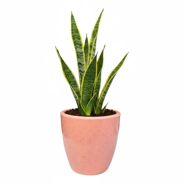 4.5_Inch_Ceramic_Planter_Pot_with_Drainage_Hole_(Fade-Resistant)_-_Modern_Indoor_Pot_for_Succulents,_Snake_Plants,_&_Herbs_-_Decorative_Small_Cactus_Pot_for_Desk,_Shelf_&_Home_Decor_(Speckled_Pink)-_Plant_Not_Included