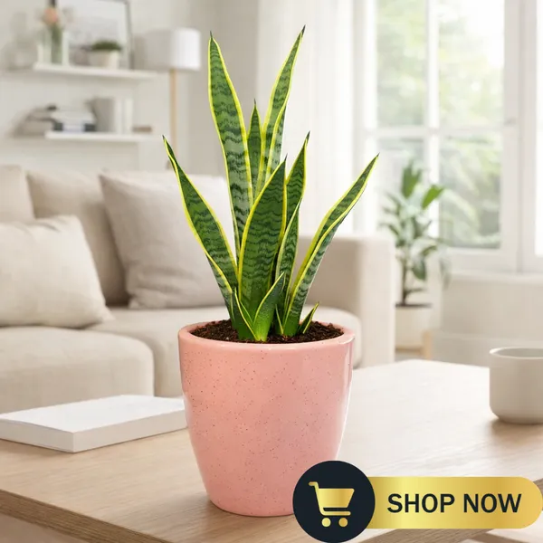 4.5_Inch_Ceramic_Planter_Pot_with_Drainage_Hole_(Fade-Resistant)_-_Modern_Indoor_Pot_for_Succulents,_Snake_Plants,_&_Herbs_-_Decorative_Small_Cactus_Pot_for_Desk,_Shelf_&_Home_Decor_(Speckled_Pink)-_Plant_Not_Included