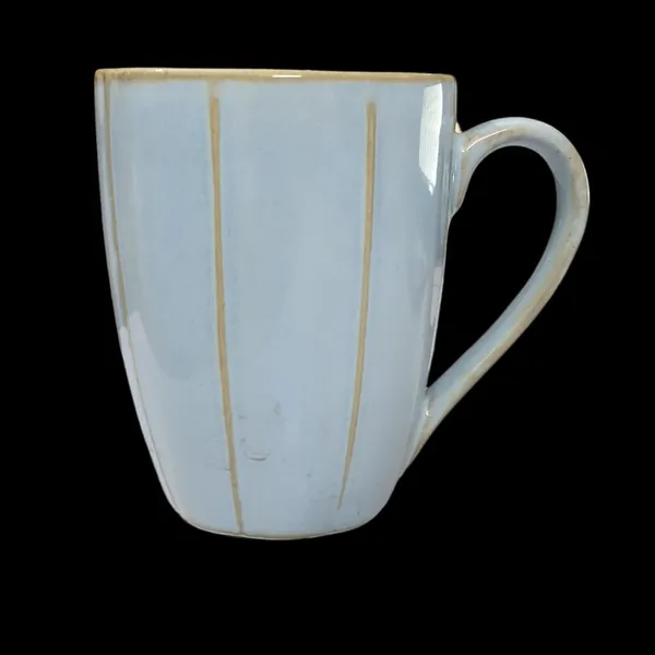 Bluish_Grey_Fine_Porcelain_Glossy_Tea/_Coffee_Mug_(300_Ml)