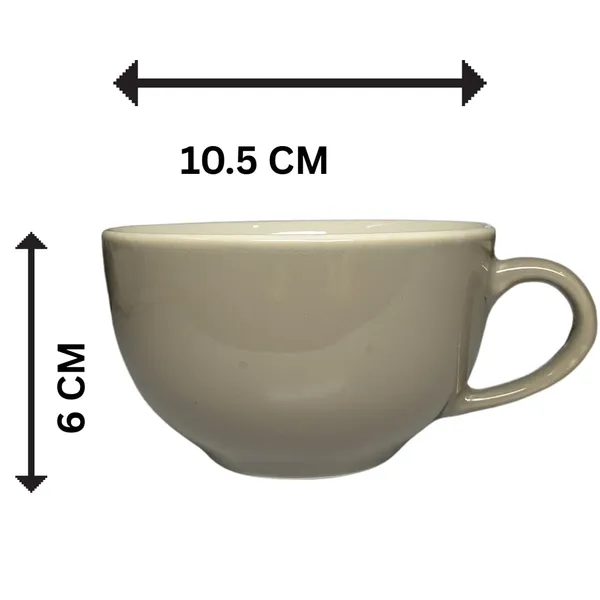 Grey_&_White_Premium_Glossy_Porcelain_Coffee/_Cappuccino_Mug_(300_Ml)