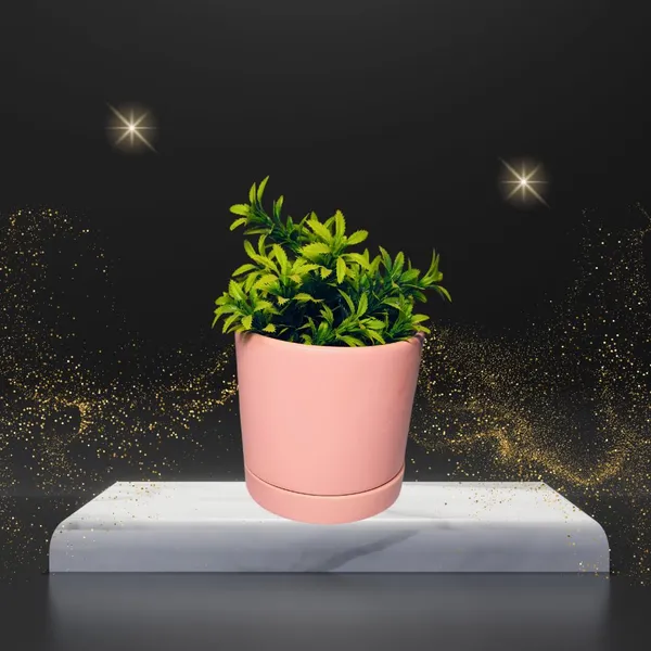 Pink_Beautiful_Ceramic_Tube_Shape_Planter_With_Plate_(Plant_Not_Included)