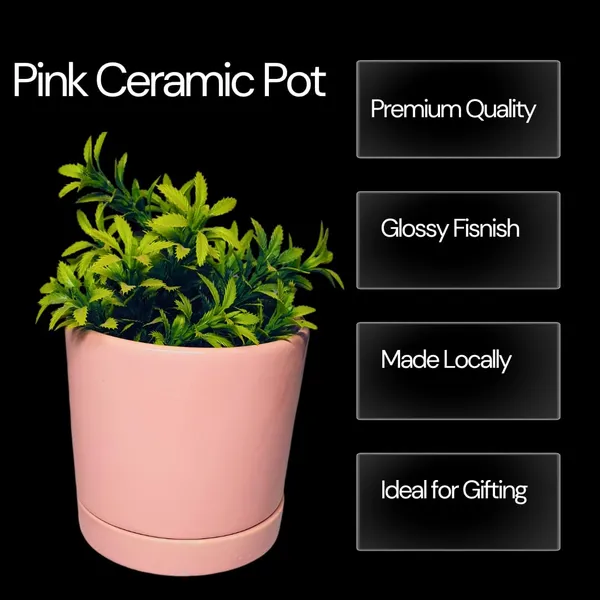 Pink_Beautiful_Ceramic_Tube_Shape_Planter_With_Plate_(Plant_Not_Included)