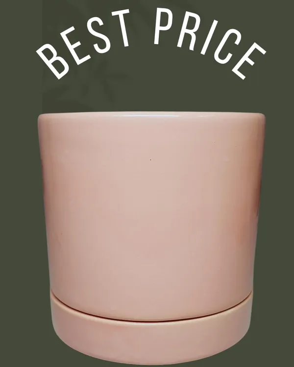 Pink_Beautiful_Ceramic_Tube_Shape_Planter_With_Plate_(Plant_Not_Included)