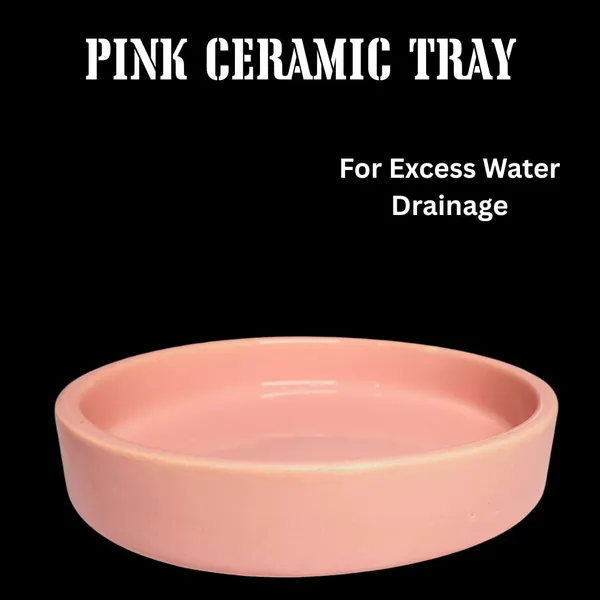 Pink_Beautiful_Ceramic_Tube_Shape_Planter_With_Plate_(Plant_Not_Included)