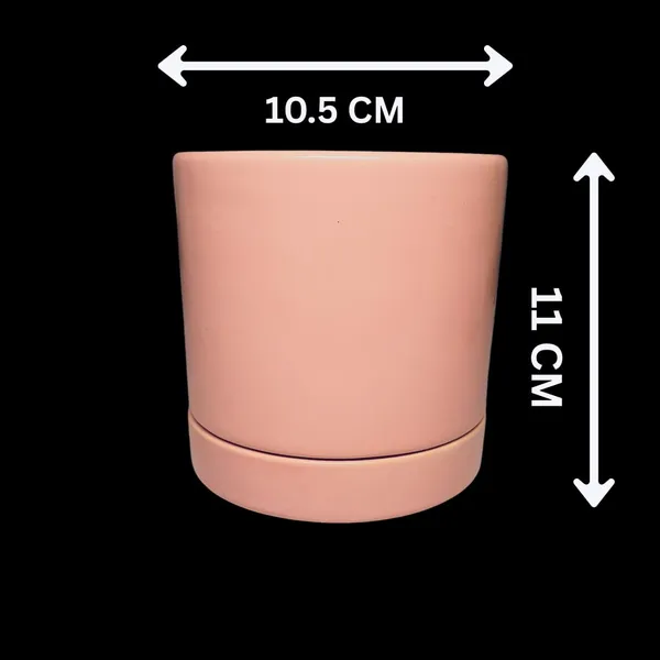 Pink_Beautiful_Ceramic_Tube_Shape_Planter_With_Plate_(Plant_Not_Included)