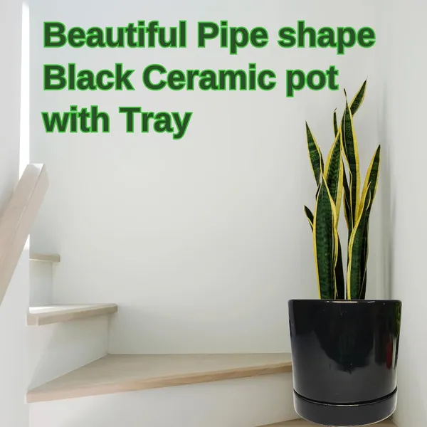 Black_Beautiful_Ceramic_Tube_Shape_Planter_With_Plate_(Plant_Not_Included)