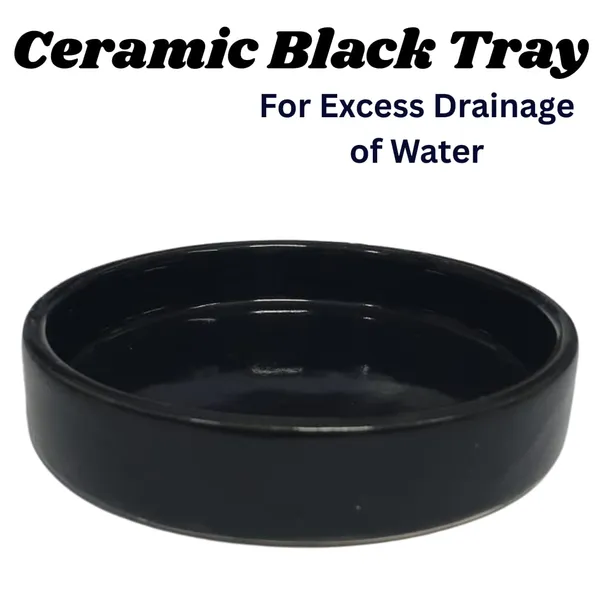 Black_Beautiful_Ceramic_Tube_Shape_Planter_With_Plate_(Plant_Not_Included)