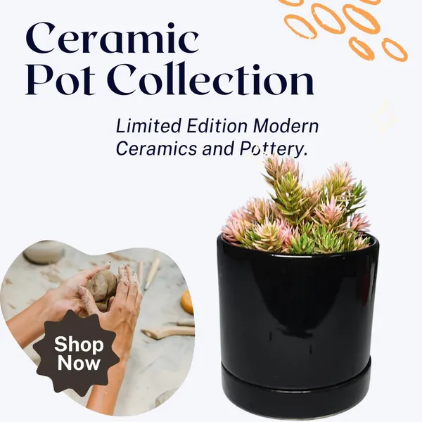 Black_Beautiful_Ceramic_Tube_Shape_Planter_With_Plate_(Plant_Not_Included)
