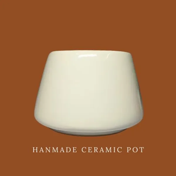 White_Glossy,_Conical_Shape_Ceramic_Planter_For_Plants