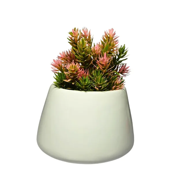 White_Glossy,_Conical_Shape_Ceramic_Planter_For_Plants