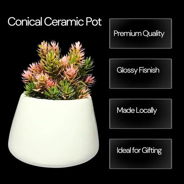 White_Glossy,_Conical_Shape_Ceramic_Planter_For_Plants