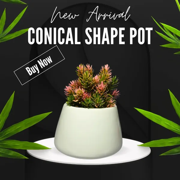 White_Glossy,_Conical_Shape_Ceramic_Planter_For_Plants